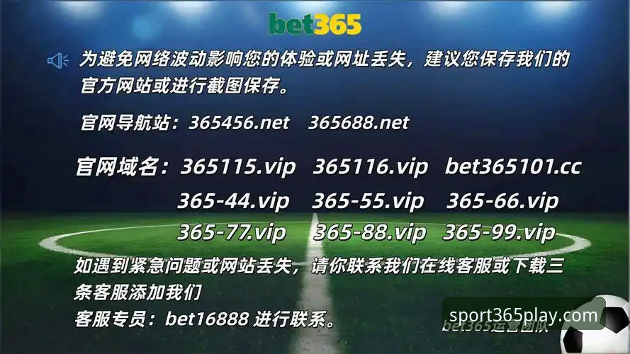 bet3652025新功能功能详解 bet3652025新功能功能详解:技术评测带你全面看懂升级亮点